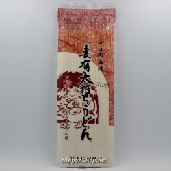 Tokamachi Udon
