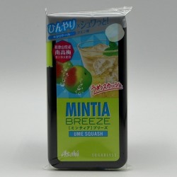MINTIA BREEZE "Ume Squash" Tablets