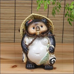 Tanuki weiblich