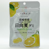 Nippon Yell - Hyuganatsu Gummy