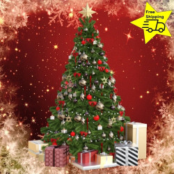 Christmas Box